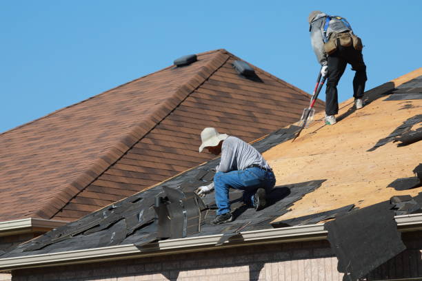 Fast & Reliable Emergency Roof Repairs in Adelphi, MD